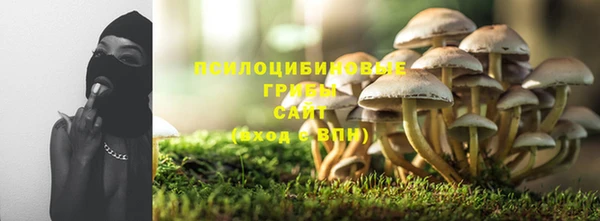 прущая мука Абаза
