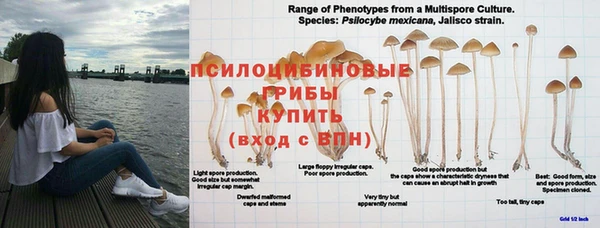 первитин Абинск