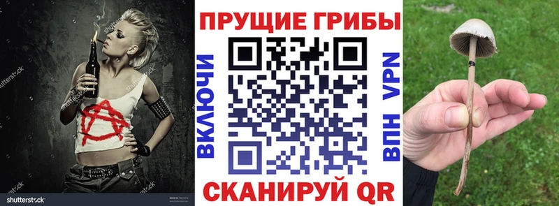 Галлюциногенные грибы ЛСД  Каменка 